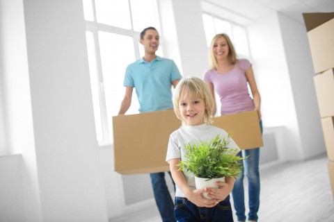 Projet de loi de finances 2016 : aides aux logements